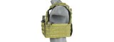 1000D Nylon Airsoft Molle Tactical Vest (OD Green)