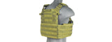 1000D Nylon Airsoft Molle Tactical Vest (OD Green)