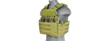 1000D Nylon Airsoft Molle Tactical Vest (OD Green)