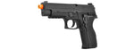 WE Tech F226 E2 MK25 Gas Blowback Airsoft Pistol (Color: Black)